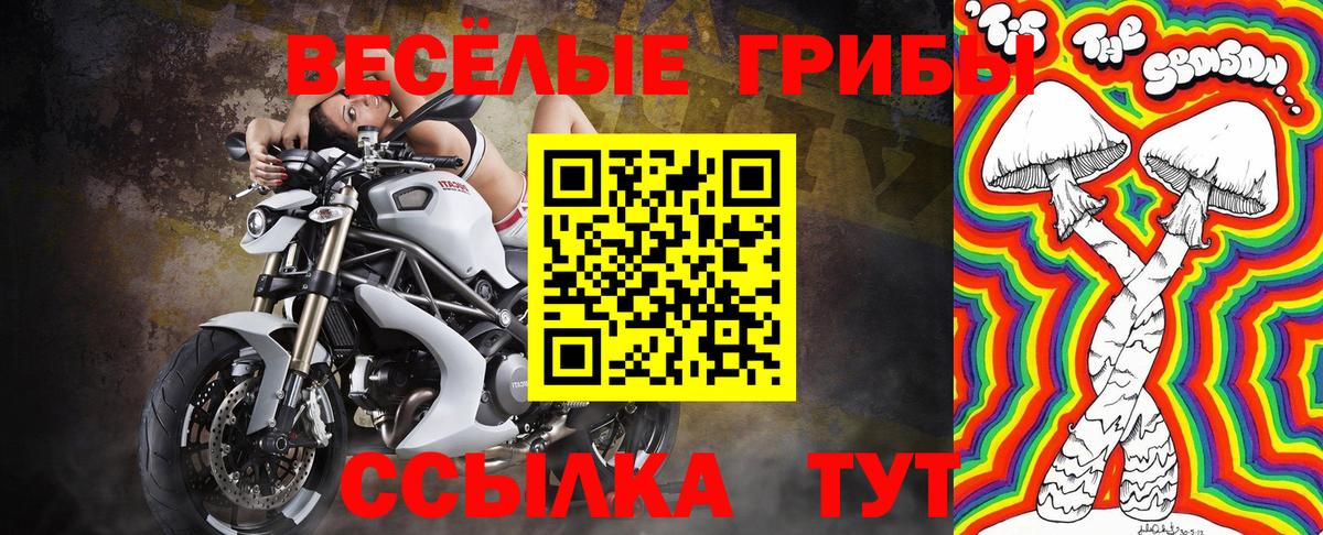 Псилоцибиновые грибы мухоморы  Псилоцибиновые грибы MAGIC MUSHROOMS  Ноябрьск  дарнет шоп  Вход с VPN 